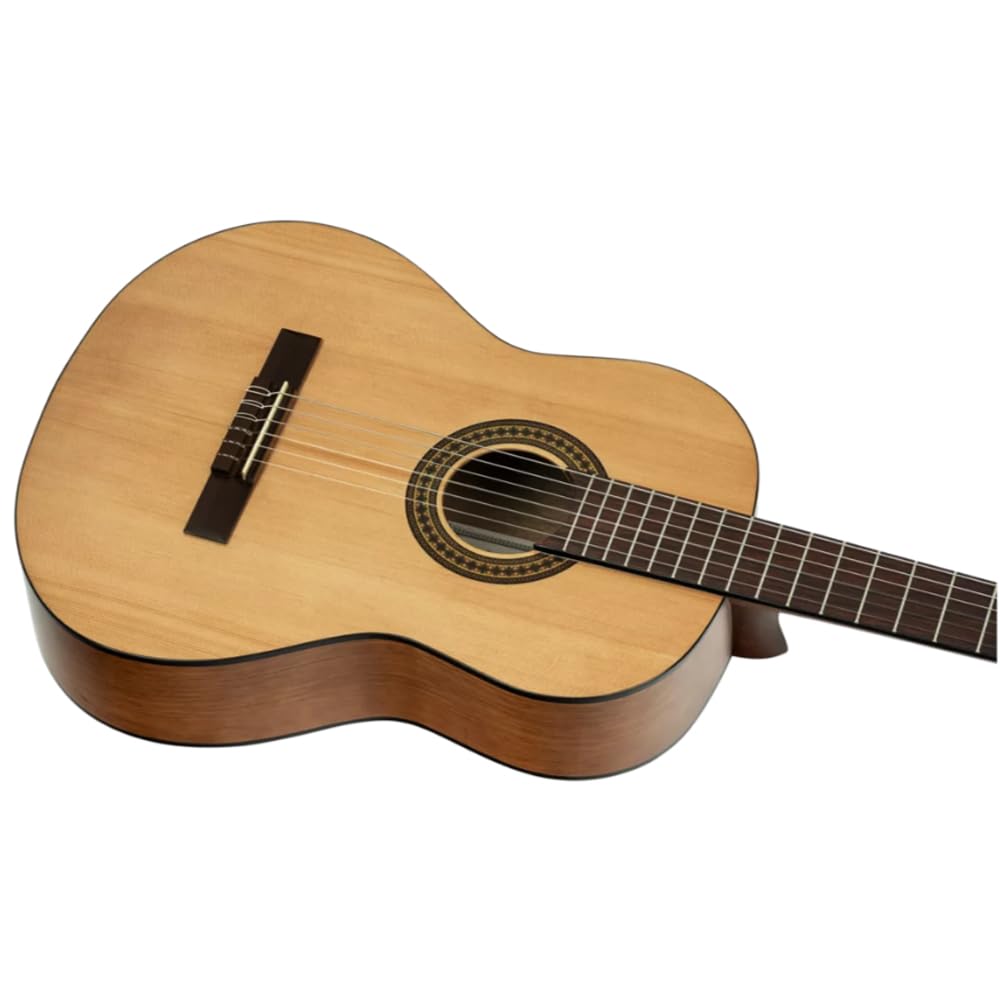 Amazon.com: Ortega Guitars RPPC44 Picker's Pack Student Series